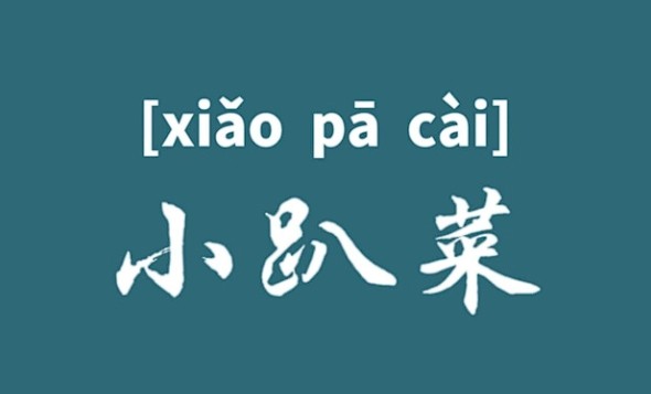 小趴菜什么意思