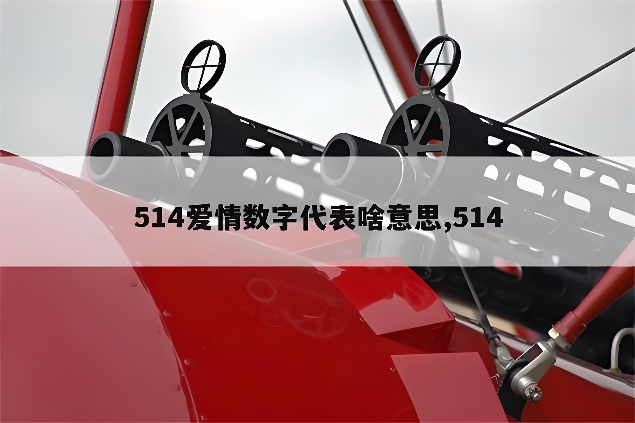 514是什么意思