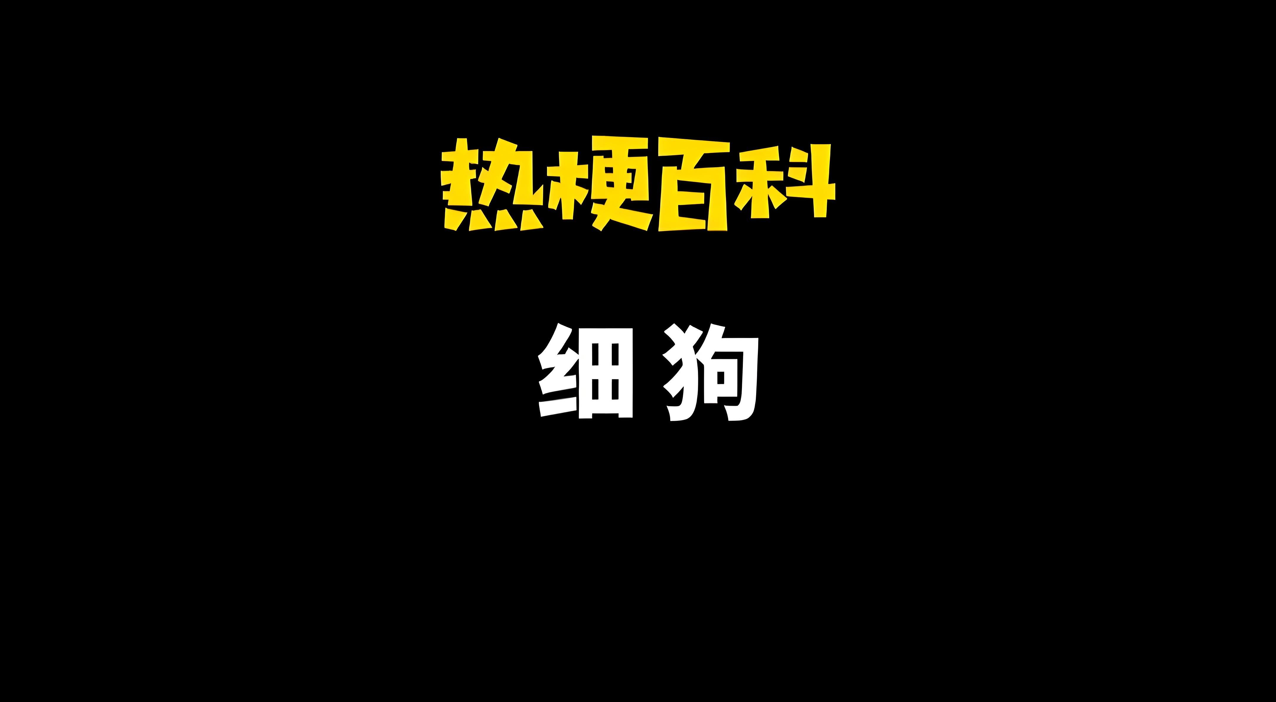 细狗网络用语什么意思